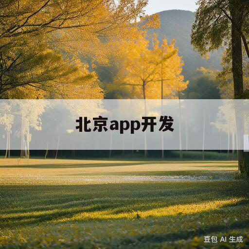 北京app开发