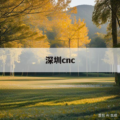 深圳cnc