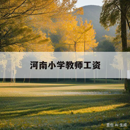 河南小学教师工资