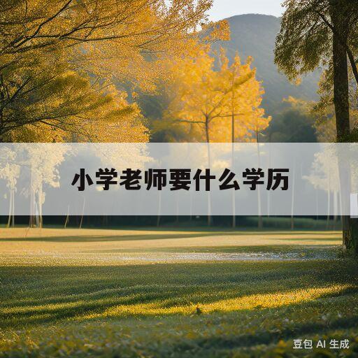 小学老师要什么学历